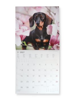 Puppies 2027 - Calendario Da Parete — Calendario - 3