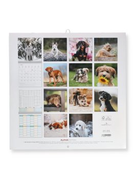 Puppies 2027 - Calendario Da Parete — Calendario - 4