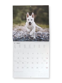 Puppies 2027 - Calendario Da Parete — Calendario - 2
