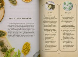 Purificazione — Libro - 4