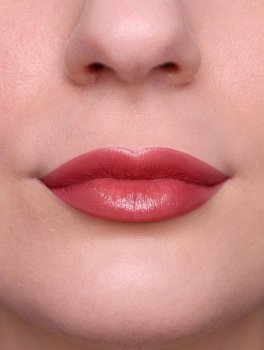 PuroBio Gift Box Phoenix - 5