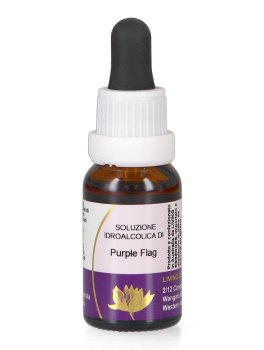 Purple Flag Flower - Fiori australiani - 1