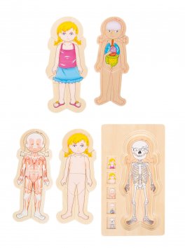Puzzle a Strati Anatomia - 3