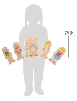 Puzzle a Strati Anatomia - 4
