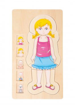 Puzzle a Strati Anatomia - 1