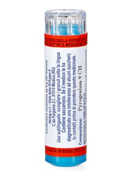 Pyrogenium 9CH Granuli Hering - 2