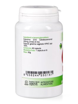 Q10-H - 3
