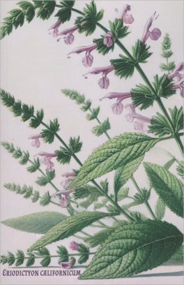 Quaderni Medicina Eriodictyon - Yerba Santa — Quaderno - 1
