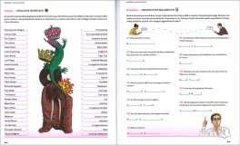 Quaderno di Compiti delle Vacanze per Adulti - Vol 2 — Libro - 3