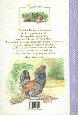 Quaderno Lassù Dove: Rondini — Quaderno - 2