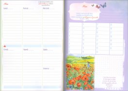 Quaderno Settimanale Pensieri Belli per Anime Delicate — Diari e Journaling - 2