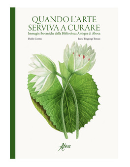 Quando l'Arte Serviva a Curare — Libro - 2