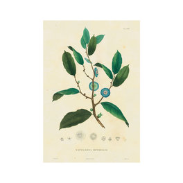 Quando l'Arte Serviva a Curare — Libro - 6