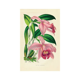 Quando l'Arte Serviva a Curare — Libro - 8