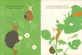 Quando Piove — Libro - 3
