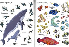 Quanti Animali! — Libro - 4