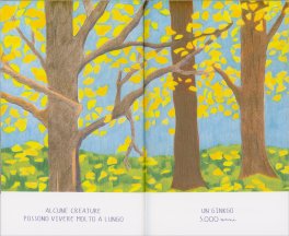 Quanto Tempo? — Libro - 3