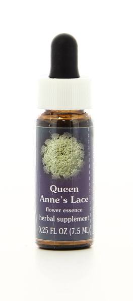 Queen Anne's Lace - Fiori californiani - 1