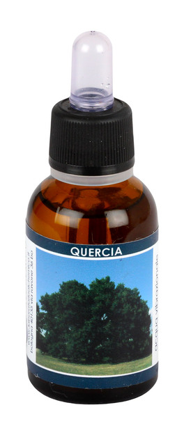 Quercia - Acqua Vibrazionale