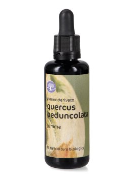 Quercus Peduncolata - Gemmoderivato - Gemme - 1