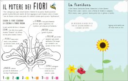 Questa (non) è Scienza — Libro - 5
