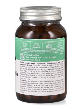 Rabarlanda - Capsule - 2