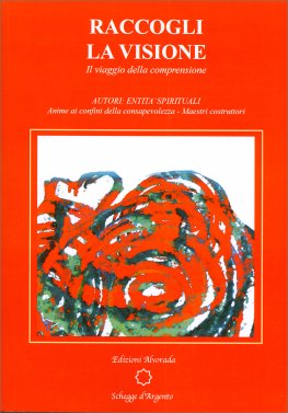 Raccogli la Visione — Libro - 1