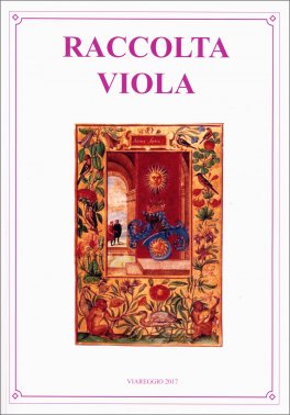 Raccolta Viola - Opere Chtmiche — Libro - 1