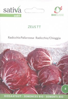Semi di Radicchio Chioggia Zeus Tt - 1