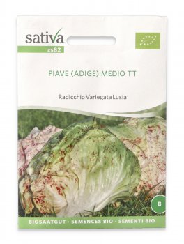 Semi di Radicchio Variegata Lusia Bio - Piave Adige MedioTT - 1