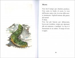 Radici — Libro - 3