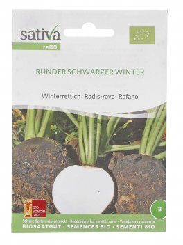 Semi di Rafano - Runder Schwarzer Winter - 1