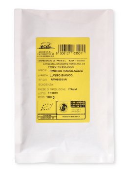 Ramolaccio Lungo Bianco (Daikon) Bio - 2