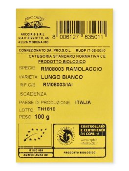 Ramolaccio Lungo Bianco (Daikon) Bio - 3