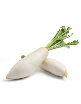 Ramolaccio Lungo Bianco (Daikon) Bio - 1