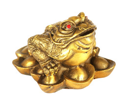 Rana dei Soldi Feng Shui - 1
