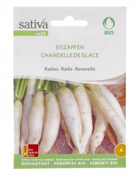 Semi di Ravanello Candela di Ghiaccio - 1