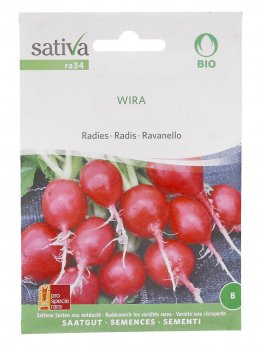 Semi di Ravanello Wira - 1