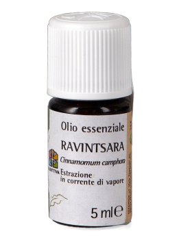Olio Essenziale di Ravintsara - 2
