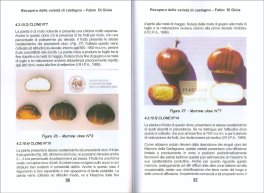 Recupero delle Varietà di Castagno Autoctone della Garfagnana — Libro - 3