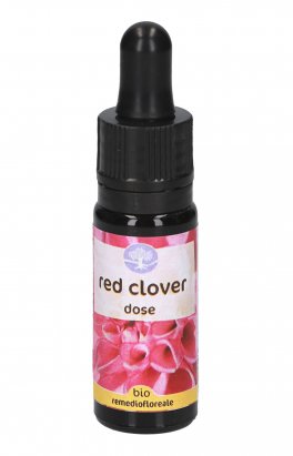 Red Clover - Fiori californiani - 1