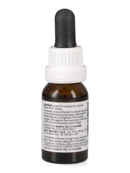 Red Helmet Orchid - Essenza Floreale Australiana Singola - 2