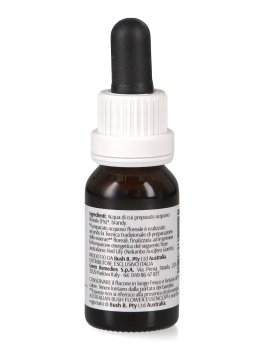 Red Lily - Essenza Floreale Australiana Singola - 2