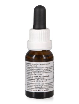 Red Suva Frangipani - Essenza Floreale Australiana Singola - 2