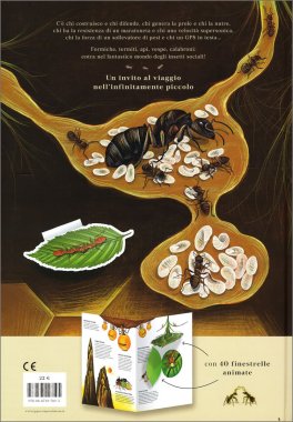 Regni Minuscoli — Libro - 2