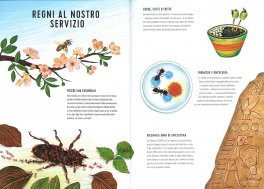 Regni Minuscoli — Libro - 3