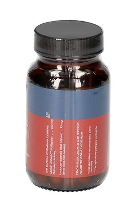 Reishi 500 mg - Liofilizzato Fresco - 2