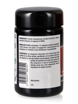 Reishi - 3