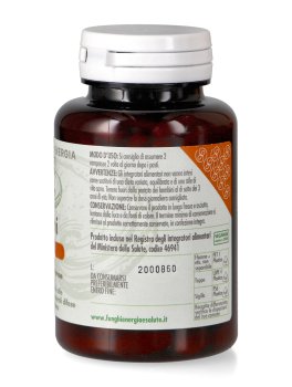 Reishi Basic - 2