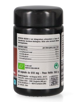 Reishi - Capsule - 2